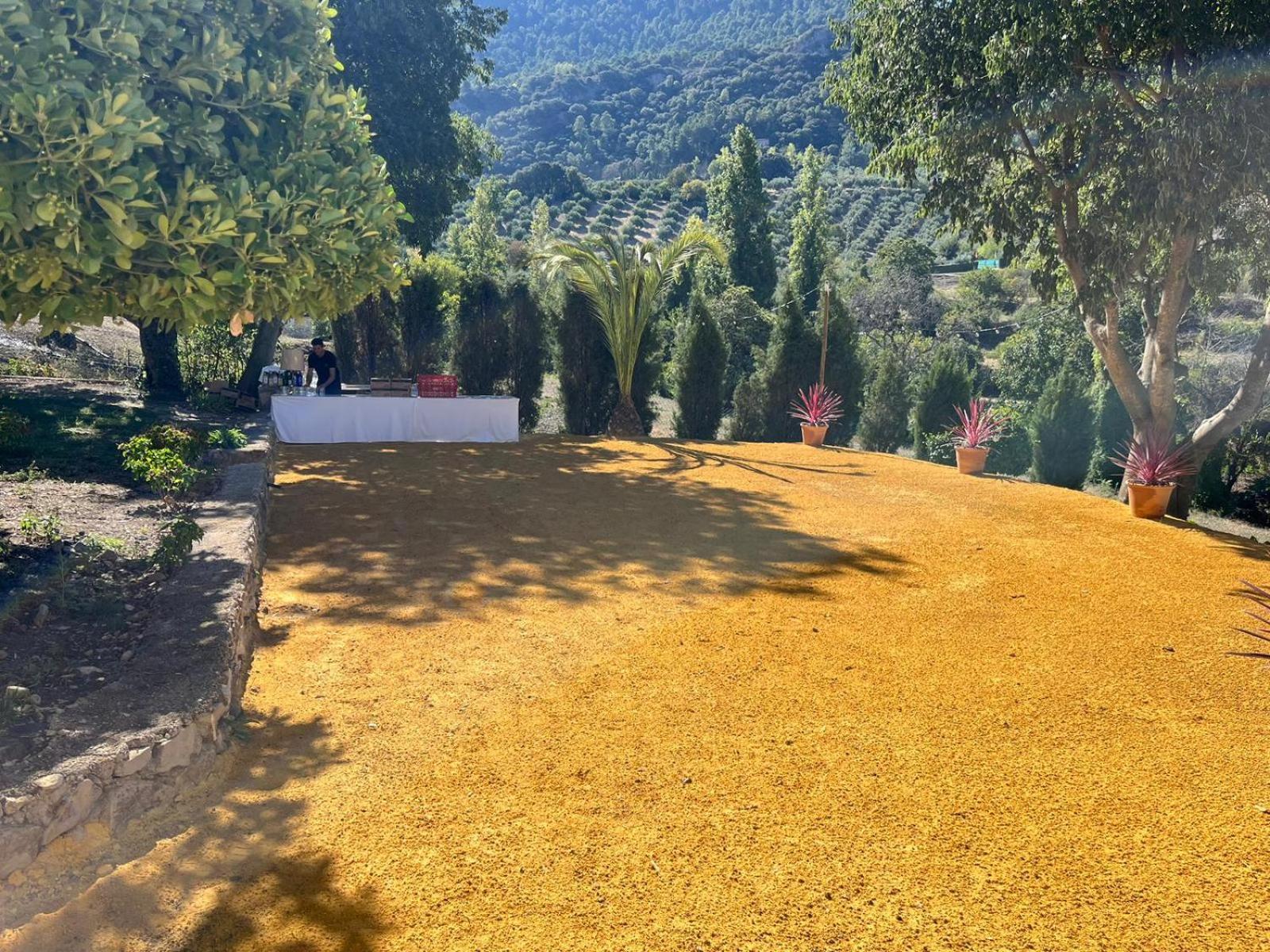 Rural Ermita San Julian *
