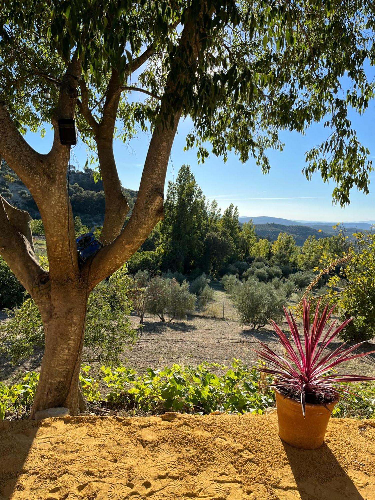 Rural Ermita San Julian